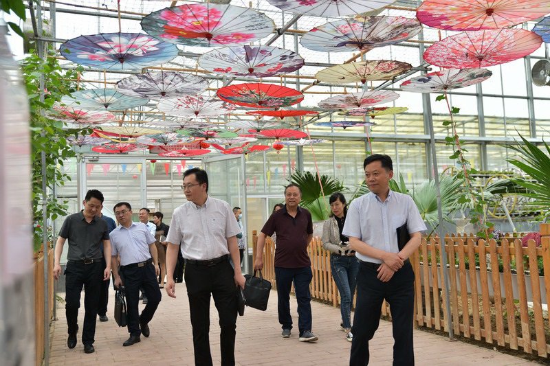 实地考察创新示范基地